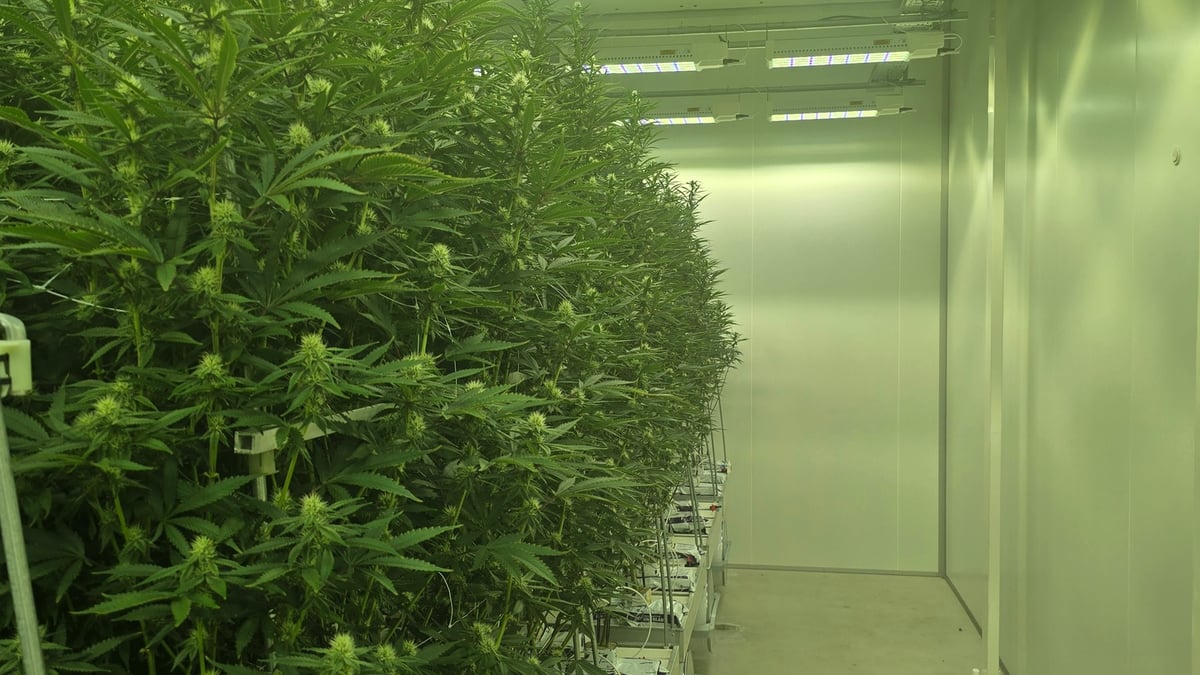 Growery facility interior