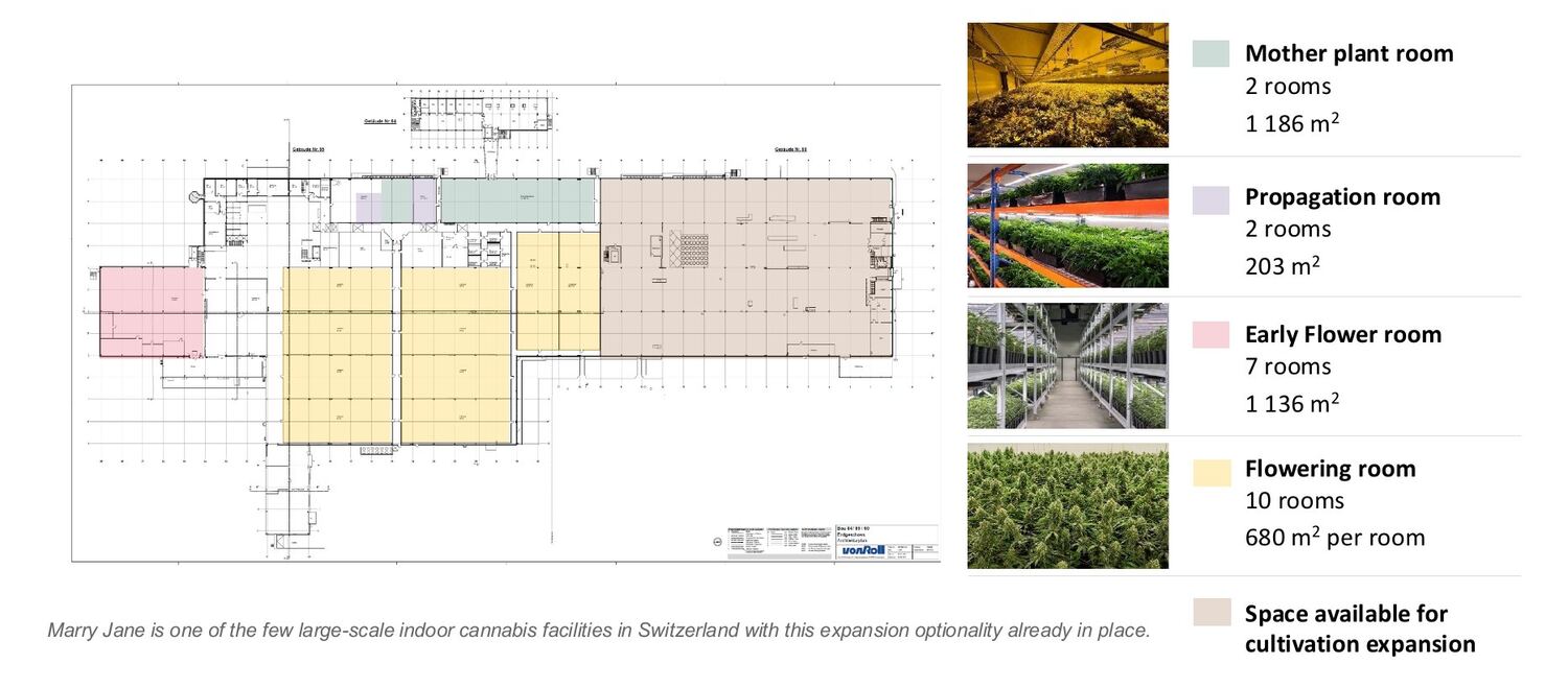 Growery facility layout — Hellevoetsluis