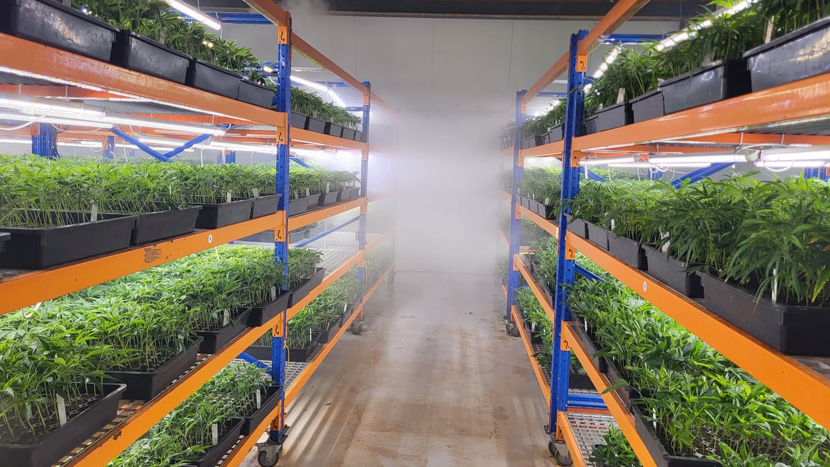 Cultivation hallway