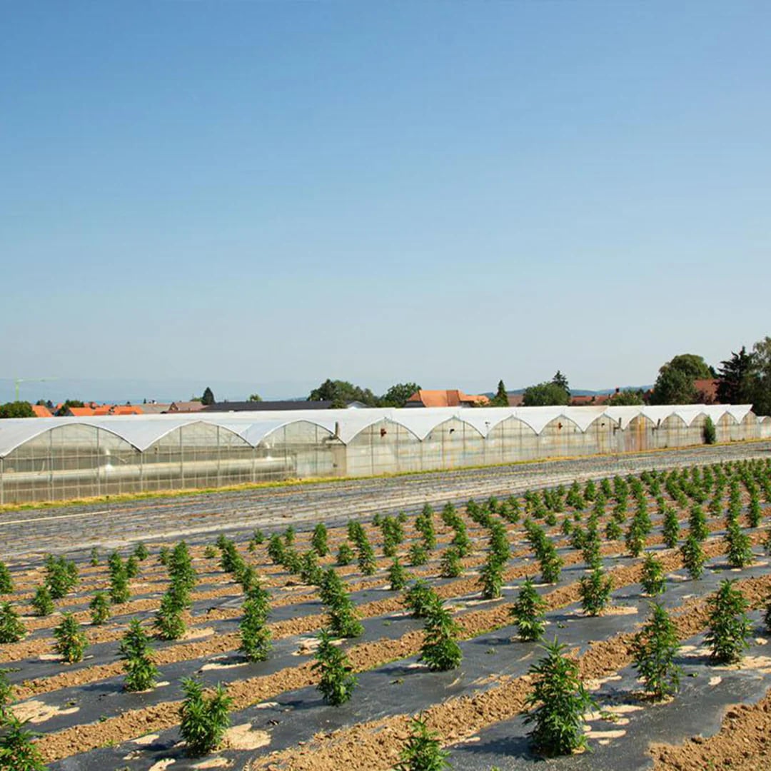 Swiss Extract AG facility
